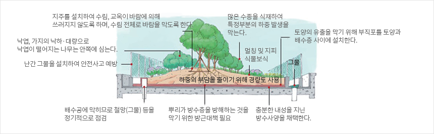 옥상녹화 시 고려해야할 물리적 측면 이미지